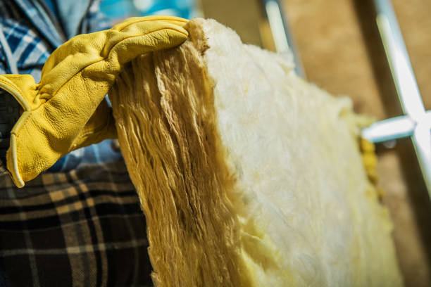 Best Specialized Insulation Services in Trafford, PA