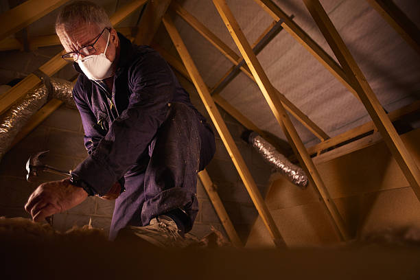 Best Commercial Insulation in Trafford, PA